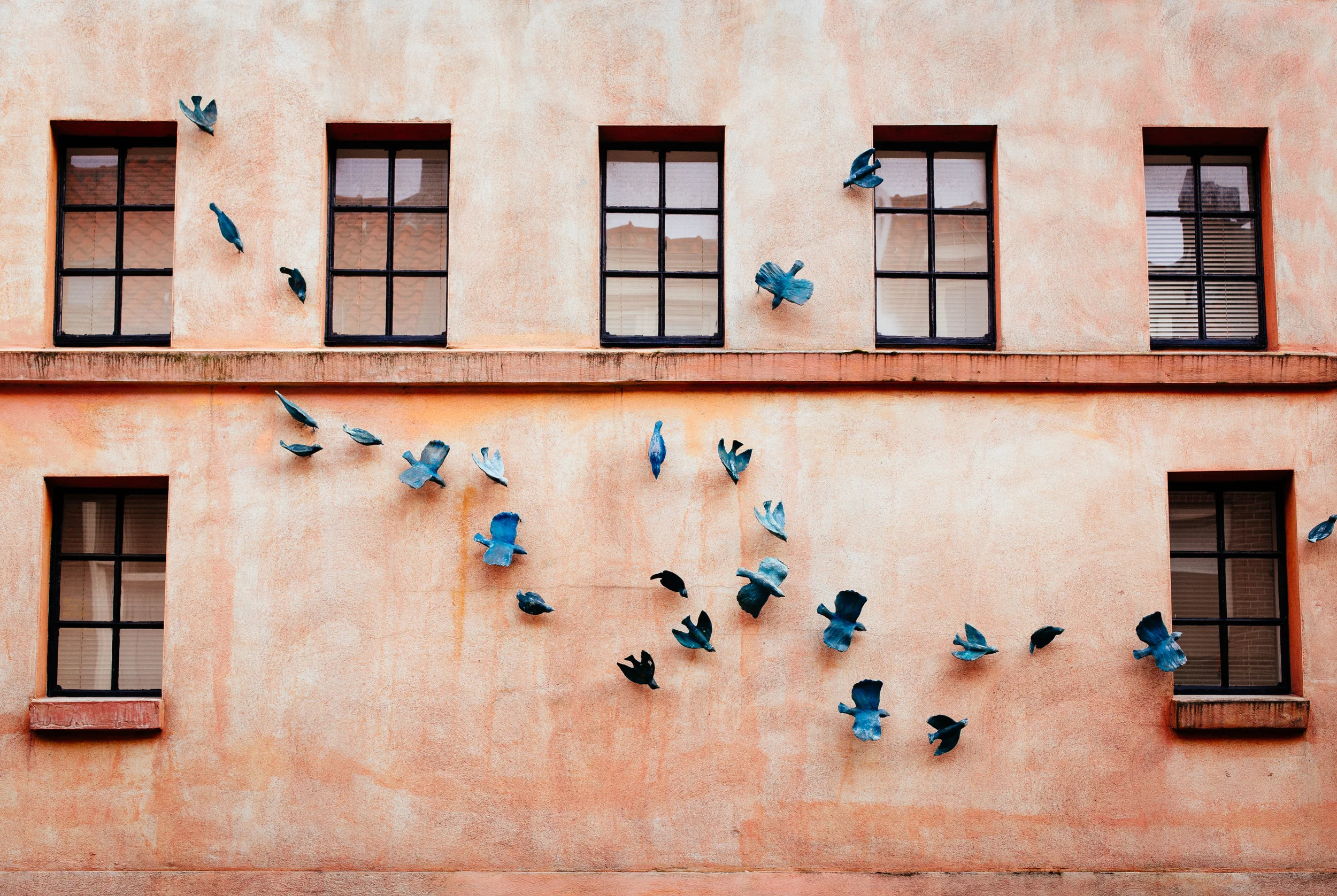 Birds