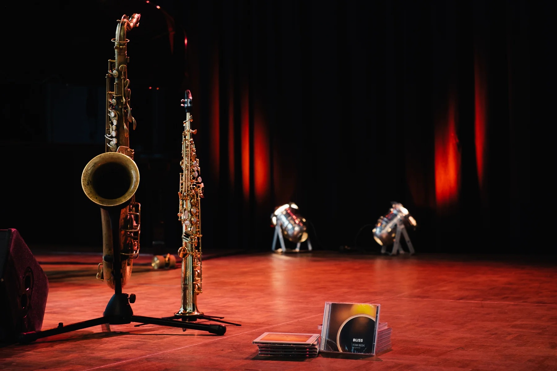 In Concert.jpg