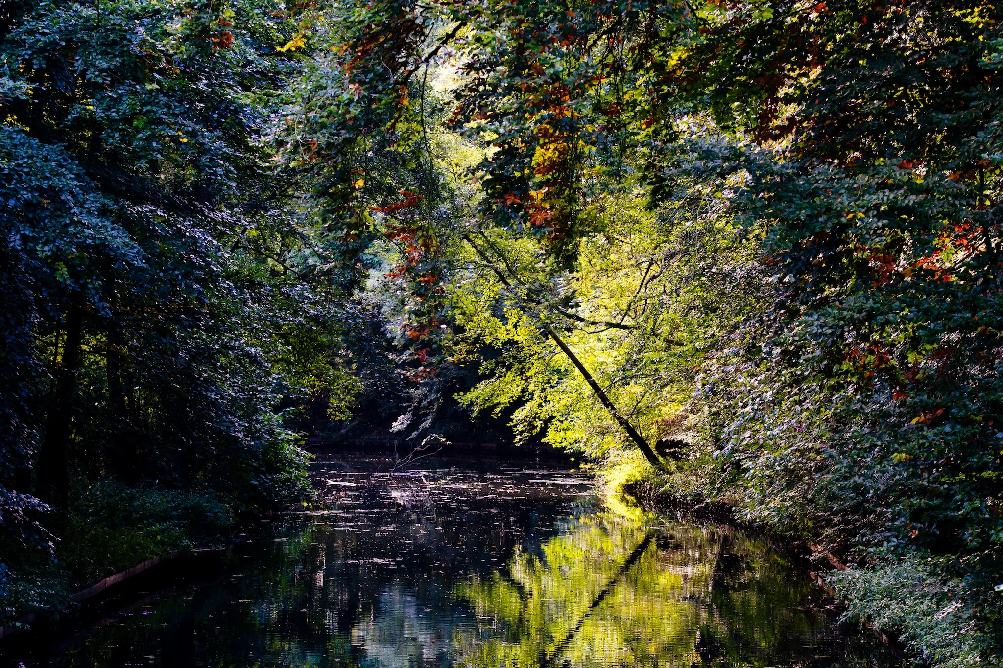 Autumn Colors