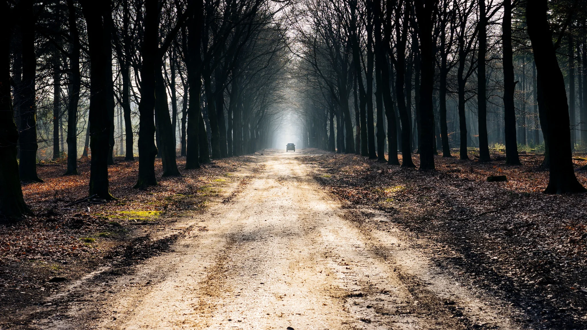 Going the Distance