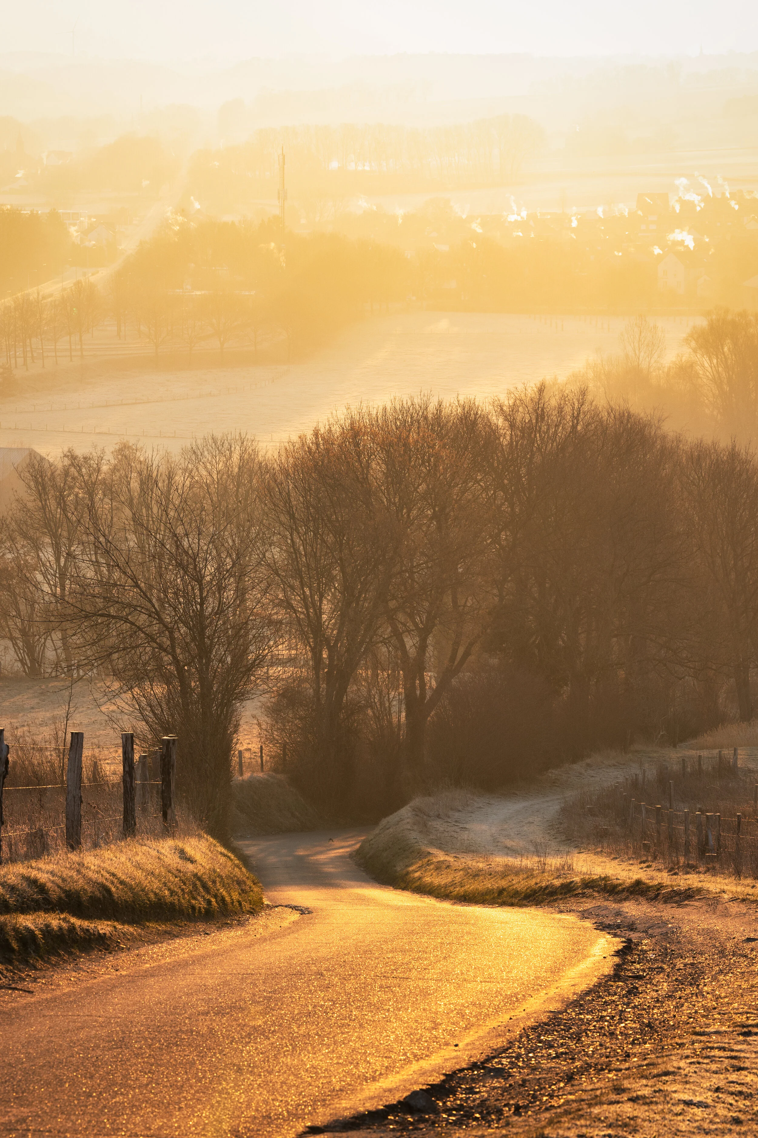 Sunny, frozen, bendy road