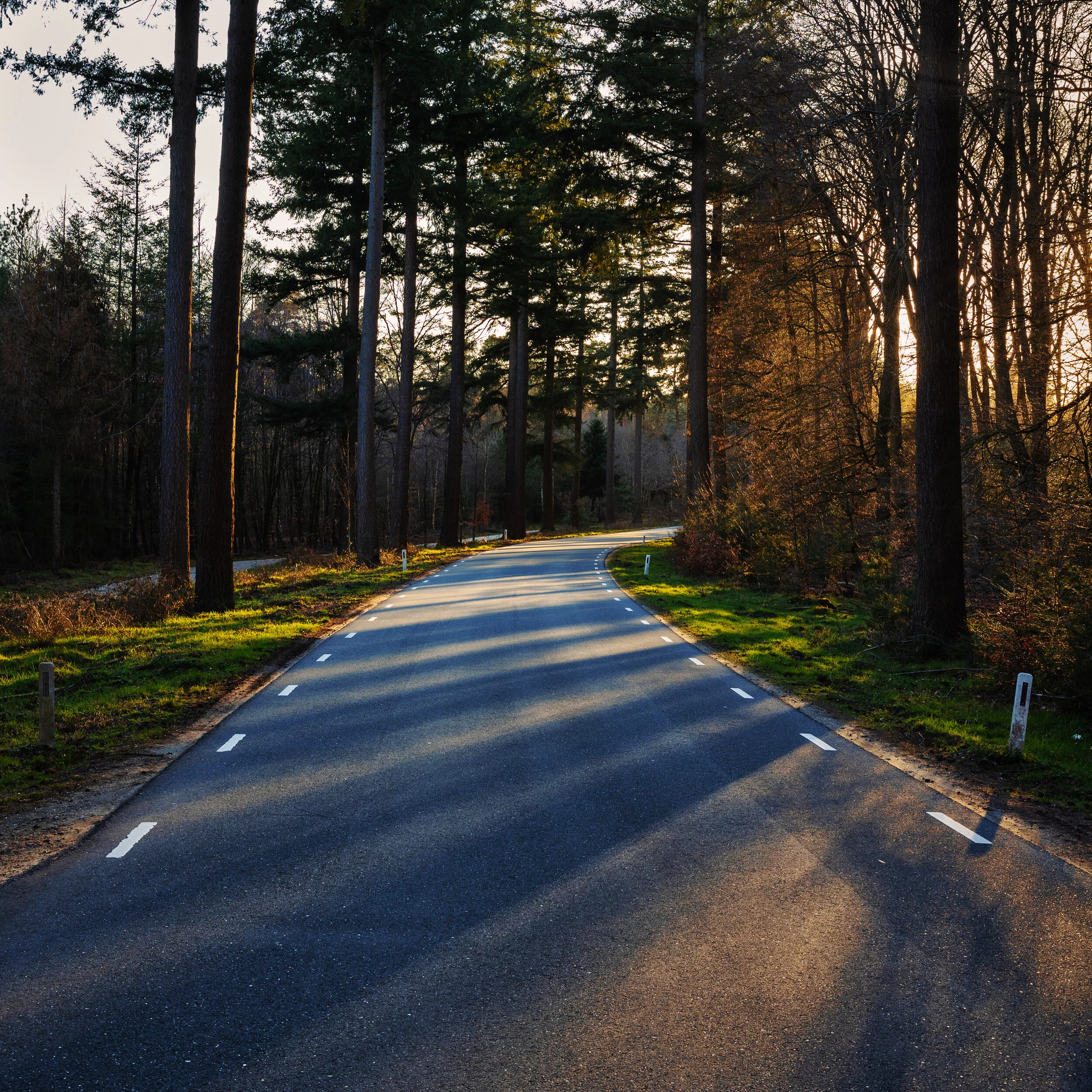 Sunset road
