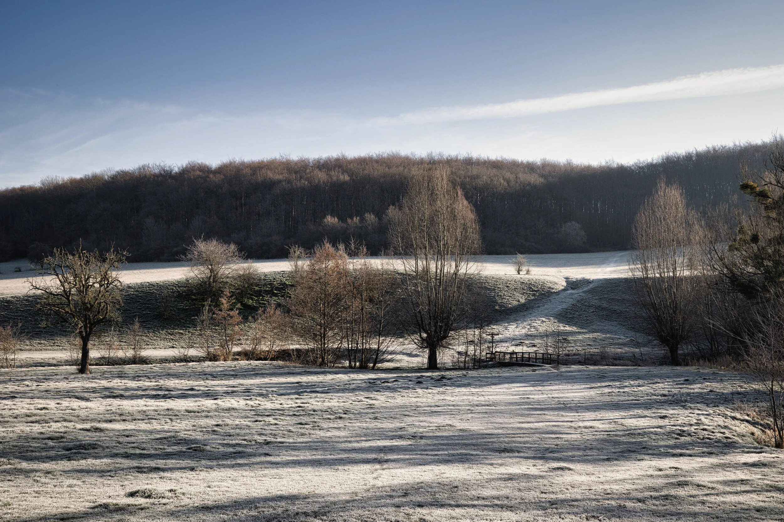 Frosty morning